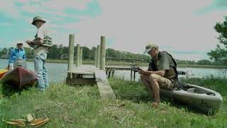 Virginia Paddlers Count Terrapins in quotDiamondback Dashquot [upl. by Ennaharas]