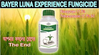 Bayer Luna Experience fungicide  Fluopyram  Tebuconazole  আপনার ফসলের রোগের হবে The End farming [upl. by Sirrah]