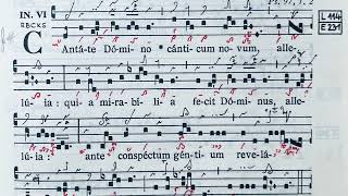 Cantate Domino canticum novum  Ad introitum [upl. by Banna]