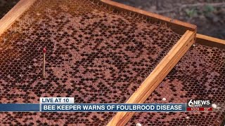 Omaha beekeeper warns of Foulbrood disease [upl. by Trub525]