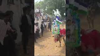 2024 ysrcp kings jallikattu dj telugu comedy funny jallikattu [upl. by Anonyw]