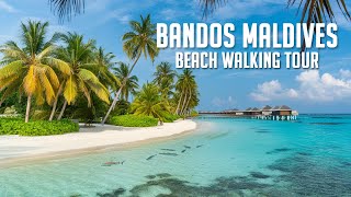 BANDOS RESORT MALDIVES WALKING TOUR 4k Binaural Audio🎧 [upl. by Enihsnus708]