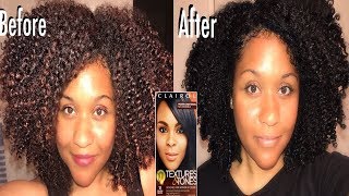 How I Dye My Natural Hair Black with Clairol Textures and Tones Silken Black [upl. by Arnulfo464]