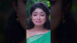 Malli Serial Shorts  Episode 205 Promo  Nikitha  Vijay  shorts ytshorts youtubeshorts [upl. by Lynnet932]