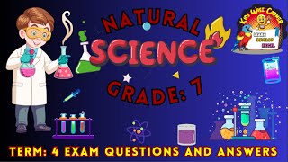 Grade 7 Term 4 Natural Science Exam Review 2024  Questions and Answers [upl. by Htial]