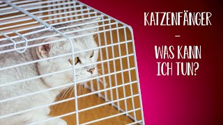 Achtung Katzenfänger  wie kann ich meine Katze schützen [upl. by Ettennahs]