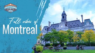 Unveiling Montreal Top MustSee Attractions amp Hidden Gems [upl. by Les276]