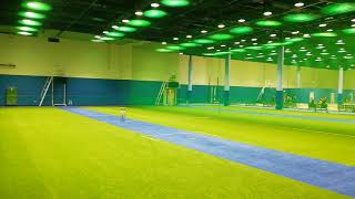 CRICKET PITCH AND PLAY FIELD INSIDE SAFEER MALL shorts [upl. by Eelac]