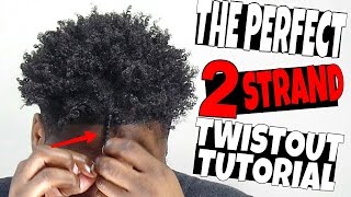 How to 2 strand Twistout Tutorial for Men [upl. by Knobloch614]