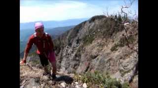 Border Terrier goes mountainbiking amp mountainclimbing [upl. by Sullecram]