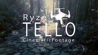 DJI Ryze Tello Cinema 26 [upl. by Lirva]