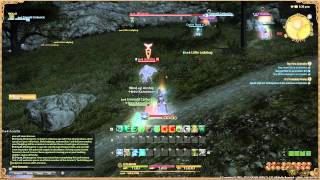 Final Fantasy XIV A Realm Reborn  Arcanist Lv1 Quest  My First Grimoire [upl. by Arinaid]