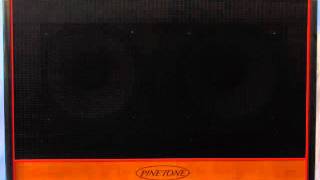 PINETONE 2x12 Guitar Cab with Texas Heat speakers [upl. by Anamuj]