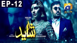 Shayad Episode 12  Har Pal Geo [upl. by Leinadnhoj]