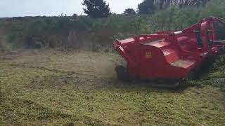 Vigolo TDF250 Mulcher [upl. by Denny]