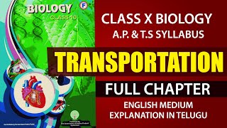 Transportation Full chapter 10th class biology NS chapter 3 AP amp TS syllabus EM EDUSCOPE ​ [upl. by Erickson883]