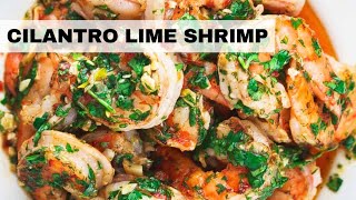 Cilantro Lime Shrimp Recipe  Easy Shrimp Recipe Ready in 20 Minutes [upl. by Atiekahs]