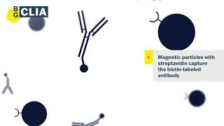 The CLIA immunoassay  How do kits work [upl. by Ayrolg]