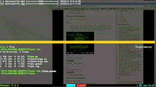 fttps  Download Manager  Linux TUI [upl. by Rowney]