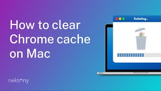 How to clear Chrome cache on Mac [upl. by Lewert]