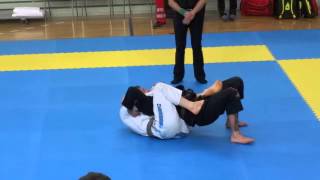 Darragh O Conaill  IBJJF Copenhagen Open [upl. by Chappelka807]