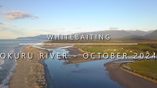 Whitebaiting the Okuru River Haast  October 2024 069 [upl. by Mossolb771]