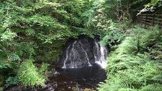 An Intermediate Cascade on the Waterfall Walk in Glenariff Forest Park [upl. by Niel]