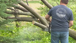 NWS Haysville tornado sets new record [upl. by Kanya782]