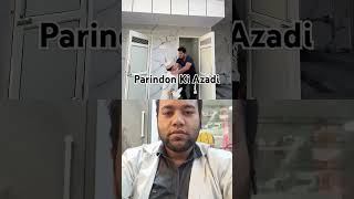 Parindon Ki Azadiyoutubeshorts trending islam imotional history reaction motivation shots [upl. by Coltin]