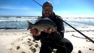 How to Fishing for Galjoen on the West Coast Water reading and Bait presentation Day1 [upl. by Analram]