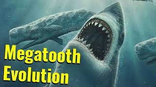 Evolution of the Megatooth Sharks [upl. by Yenobe]