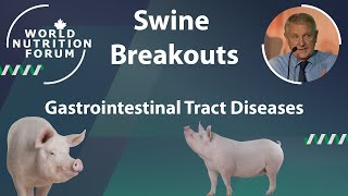 WNF 2016 Swine Breakouts 01 Gastrointestinal Tract Diseases [upl. by Janik]