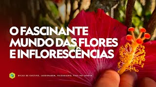 O fascinante MUNDO das FLORES e INFLORESCÊNCIAS [upl. by Atirac381]