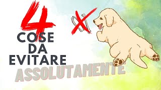 Hai un Golden Retriever Evita Assolutamente Queste 4 Cose [upl. by Edaj]