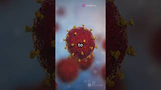 How Viruses Hijack Host Cells facts science biology didyouknow health healthy body [upl. by Adgam]