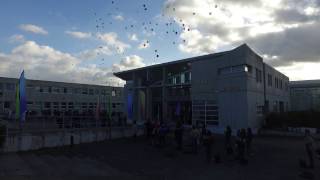 Mannequin challenge du Lycée Viollet le Duc [upl. by Nitsud]