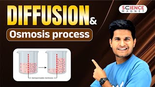 Diffusion and Osmosis process explained neerajsir sciencemagnet [upl. by Akehsyt]