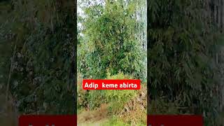 Adip keme abirta shortvideo [upl. by Cairns]