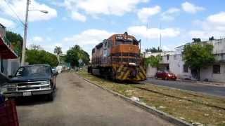 Tren Chiapas Mayab [upl. by Nwatna]