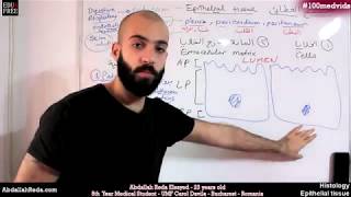 هستولوجي Epithelial cell polarity قطبية الخلايا الغطائية  عبد الله رضا MD  Rocademia روكاديميا [upl. by Trik]