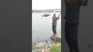 Fishing in Godavari village fishing 🎣 videos [upl. by Odraner]