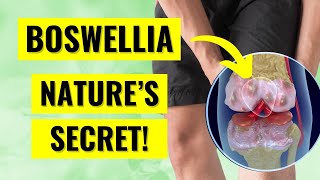 Boswellia Serrata The Miracle Supplement Youve NEVER Heard Of [upl. by Sinclair]