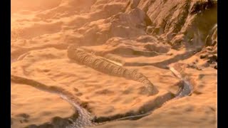 Capturing a Sandworm on Arrakis  Children of Dune 2003 [upl. by Heyes659]