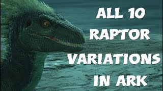 All 10 different Raptor Variations in Ark [upl. by Hein33]