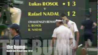 the bump Nadal into Rosol at Wimbledon [upl. by Lozar459]