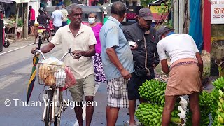 Sri Lanka  Kalutara Morning Market [upl. by Lowis]