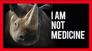 Stop Wildlife Crime The Series  Rhinos Video 4  WWF [upl. by Silenay]