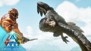 Taming an Argentavis  Ark Survival Ascended Gameplay 4 [upl. by Etteve]