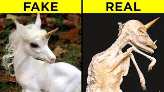 Mythical Creatures That Actually Exist In Real Life [upl. by Marietta]