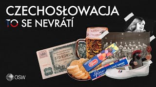 Dlaczego Czechosłowacja się rozpadła Czechosłowacja  historia i dziedzictwo FILM DOKUMENTALNY [upl. by Decker608]